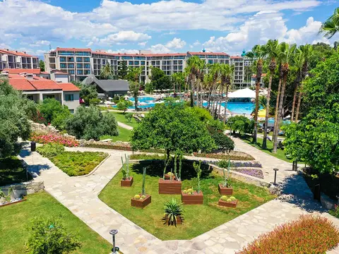 Arum Barut Collection, fotografia 10 nga 20
