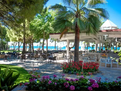 Barut Hemera, fotografia 17 nga 20