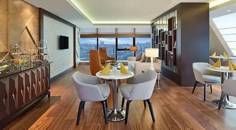 Elite World Grand İstanbul Basın Ekspres Hotel, fotografia 19 nga 20