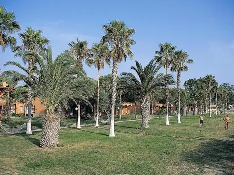 Ephesia Holiday Beach Club, fotografia 6 nga 10