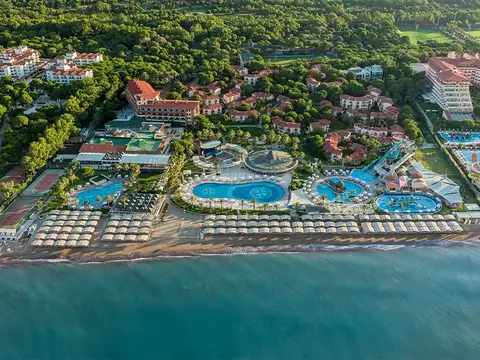 Papillon Belvil, Belek