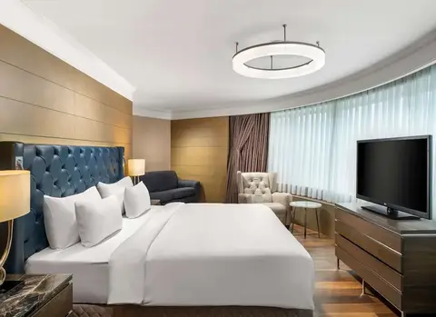 Radisson Blu Hotel, Istanbul Sisli, fotografia 14 nga 20